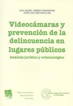 Videocámaras y prevención de la delincuencia en lugares públicos