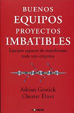 Buenos equipos, proyectos imbatibles