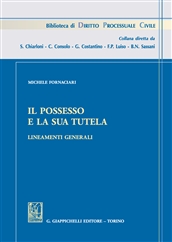 Il possesso e la sua tutela