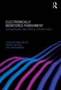 Electronically monitored punishment