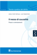 Il nesso di causalità. 9788814164286