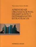 Aprendizaje organizacional. 9788433831187