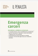 Emergenza carceri. 9788814166297