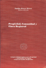 Propiedad, comunidad y finca registral