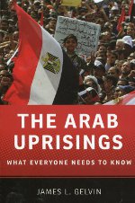 The arab uprisings. 9780199891771