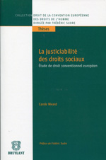 La justiciabilité des droits sociaux. 9782802735625