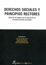 Derecho sociales y principios rectores. 9788490045596
