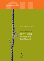 Normas prácticas para la prevención de riesgos laborales. 9788496889910