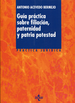 Guía práctica sobre filiación, paternidad y patria potestad