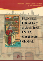 Proceso, eficacia y garantías en la sociedad global. 9788415690337