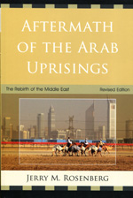 Aftermath of the arab uprisings. 9780761859468