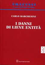 I danni di lieve entità. 9788814166723