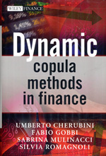 Dynamics copula methods in finance