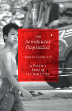 The accidental capitalist