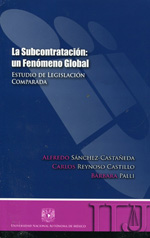 La subcontratación: un fenómeno global. 9786070225260