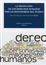 La protección de los Derechos Humanos por las defensorías del pueblo. 9788490313626