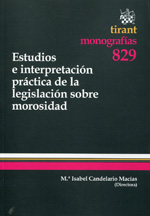 Estudios e interpretación práctica de la legislación sobre morosidad. 9788490337660