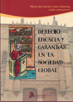 Derecho, eficacia y garantías en la sociedad global