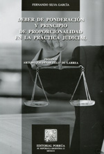 Deber de ponderación y principio de proporcionalidad en la práctica judicial