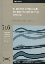 El proceso de tutela de los derechos de libertad sindical. 9788476767900