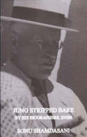 Jung Stripped Bare