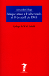 Ataque aéreo a Halberstadt el 8 de abril de 1945