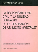 La responsabilidad civil y la nulidad derivadas de la realización de un ílicito Antitrust. 9788484440024