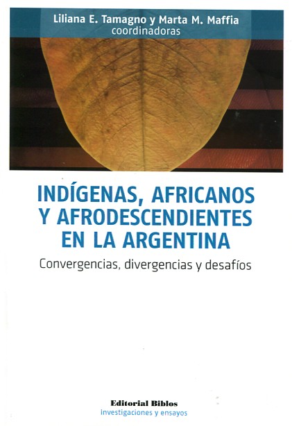 Indígenas, africanos y afrodescendientes en la Argentina. 9789876912785