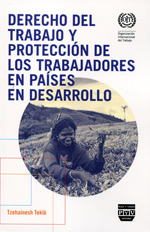 Derecho del trabajo y protección de los trabajadores en países en desarrollo. 9788415271338