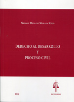 Derecho al desarrollo y proceso civil