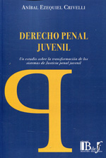 Derecho penal juvenil