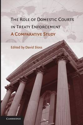 The role of domestic courts in treaty enforcement. 9781107633742
