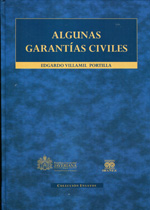 Algunas garantías civiles. 9789587166132