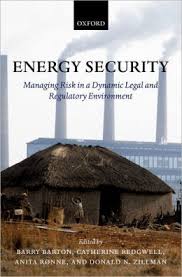 Energy security. 9780199271610
