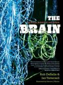 The brain