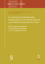 Los derechos fundamentales inespecíficos en la relación laboral y en materia de protección social