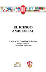 El riesgo ambiental. 9788429017731