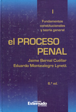 El proceso penal