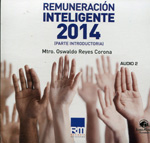 Remuneración inteligente 2014. 100957606