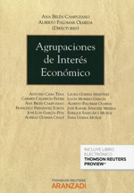 Agrupaciones de interés económico. 9788490596074