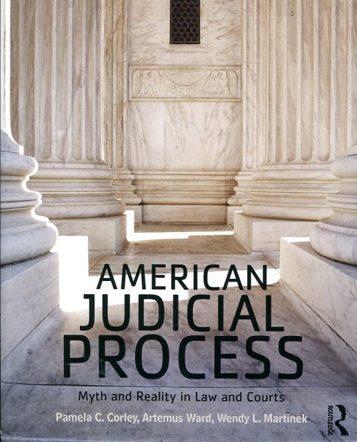 American judicial process