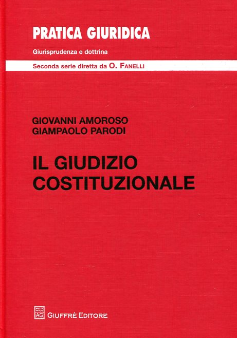 Il giudizio costituzionale. 9788814203558