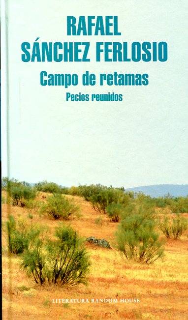 Campo de retamas