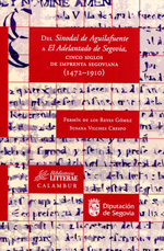 Del Sinodal de Aguilafuente a El Adelantado de Segovia. 9788483593547