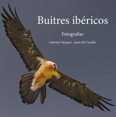 Buitres ibéricos. 9788497049023