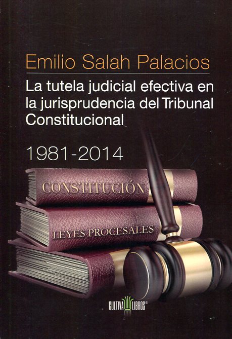 La tutela judicial efectiva en la jurisprudencia del Tribunal Constitucional. 9788416162703