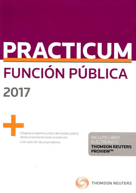 PRACTICUM-Funcion pública 2017