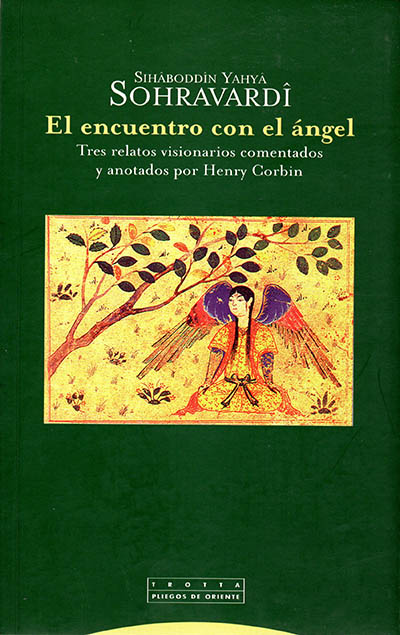 El encuentro con el ángel. 9788481645262