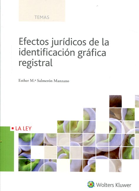 Efectos jurídicos de la identificación gráfica registral
