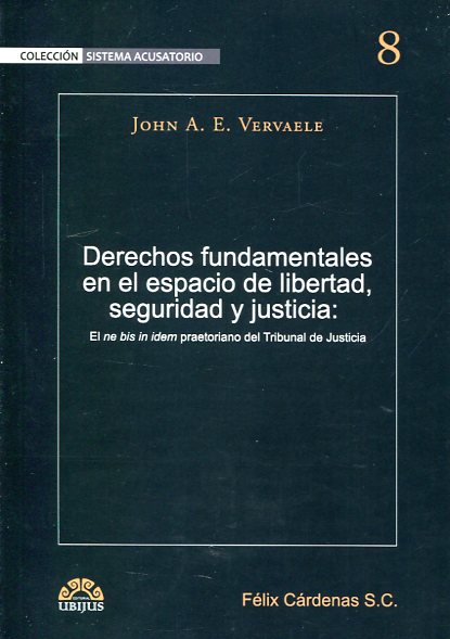 Derechos fundamentales en el espacio de libertad, seguridad y justicia. 9786079389192